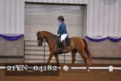 21YN_04182 thumbnail