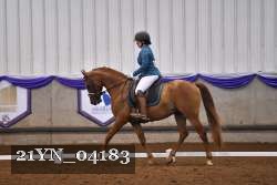 21YN_04183 thumbnail