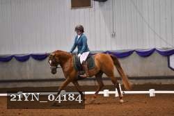 21YN_04184 thumbnail