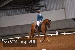 21YN_04188 thumbnail