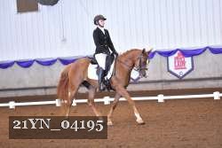 21YN_04195 thumbnail