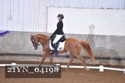 21YN_04198 thumbnail
