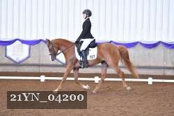21YN_04200 thumbnail