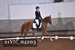 21YN_04203 thumbnail