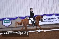 21YN_04204 thumbnail