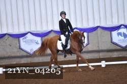 21YN_04205 thumbnail