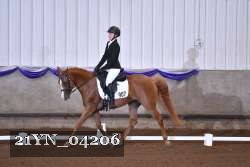 21YN_04206 thumbnail
