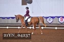21YN_04237 thumbnail