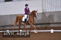 21YN_04238 thumbnail