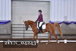 21YN_04243 thumbnail
