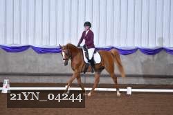 21YN_04244 thumbnail