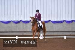 21YN_04245 thumbnail