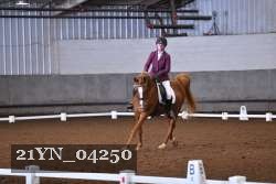 21YN_04250 thumbnail