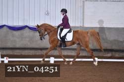 21YN_04251 thumbnail