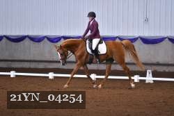 21YN_04254 thumbnail