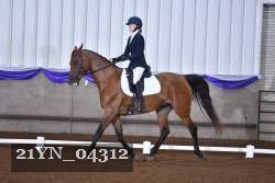 21YN_04312 thumbnail