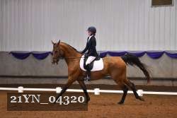 21YN_04320 thumbnail