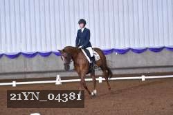 21YN_04381 thumbnail