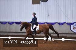 21YN_04384 thumbnail