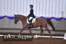21YN_04386 thumbnail