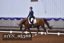 21YN_04388 thumbnail