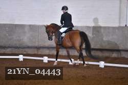 21YN_04443 thumbnail