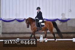 21YN_04444 thumbnail