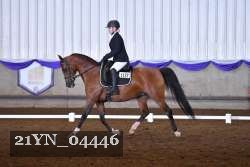 21YN_04446 thumbnail