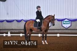 21YN_04474 thumbnail