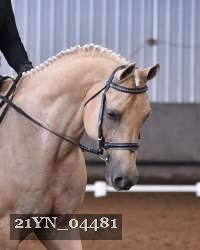 21YN_04481 thumbnail