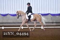 21YN_04494 thumbnail