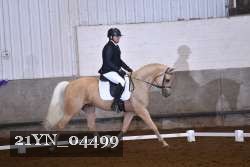 21YN_04499 thumbnail