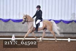 21YN_04502 thumbnail