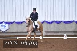 21YN_04503 thumbnail