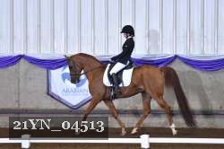 21YN_04513 thumbnail