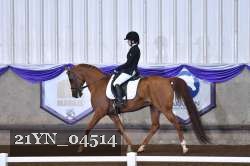 21YN_04514 thumbnail
