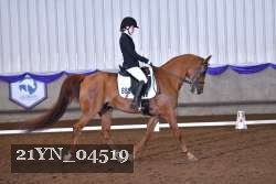 21YN_04519 thumbnail