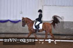 21YN_04521 thumbnail