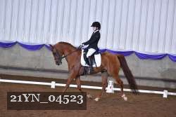 21YN_04523 thumbnail