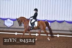 21YN_04524 thumbnail