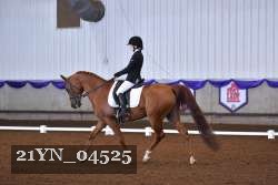 21YN_04525 thumbnail