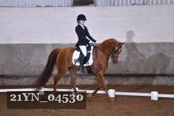 21YN_04530 thumbnail