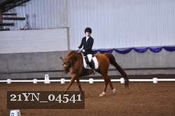 21YN_04541 thumbnail