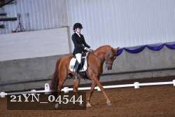 21YN_04544 thumbnail