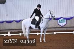 21YN_04556 thumbnail