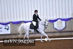 21YN_04561 thumbnail