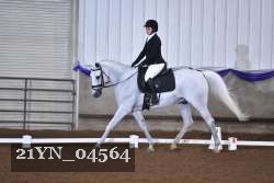 21YN_04564 thumbnail