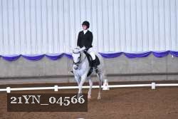 21YN_04566 thumbnail