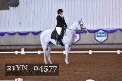 21YN_04577 thumbnail