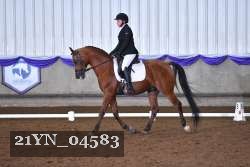 21YN_04583 thumbnail
